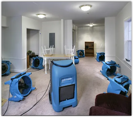 Leak Detection & Repair in Rogers, MN