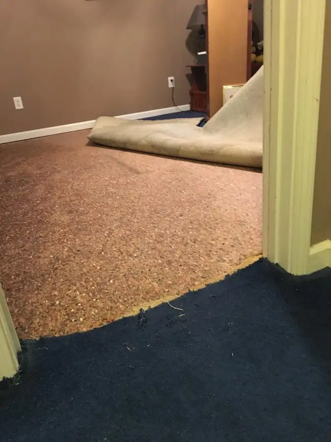 Carpet pad removal revealing water damage during Drying & Dehumidification in Rogers