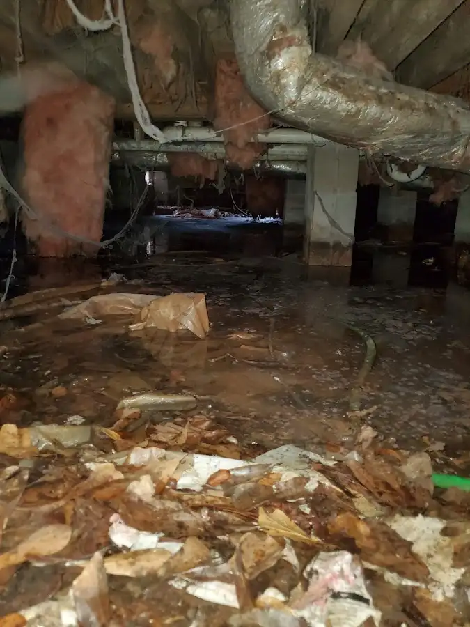 Crawl space flood assessment for Leak Detection & Repair in Rogers